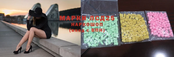 ECSTASY Майский
