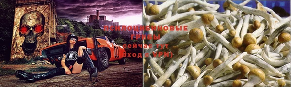 соль курить ск Магас