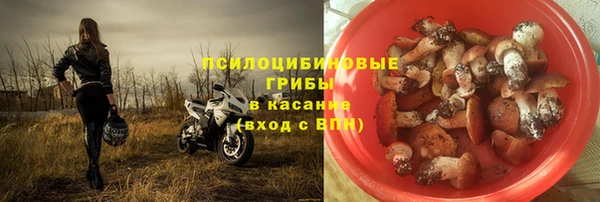 ECSTASY Майский