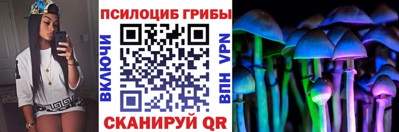 Галлюциногенные грибы ЛСД Мыски